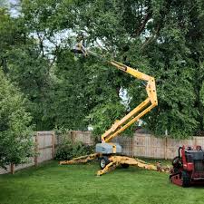 Lawn Grading and Leveling in Graham, NC